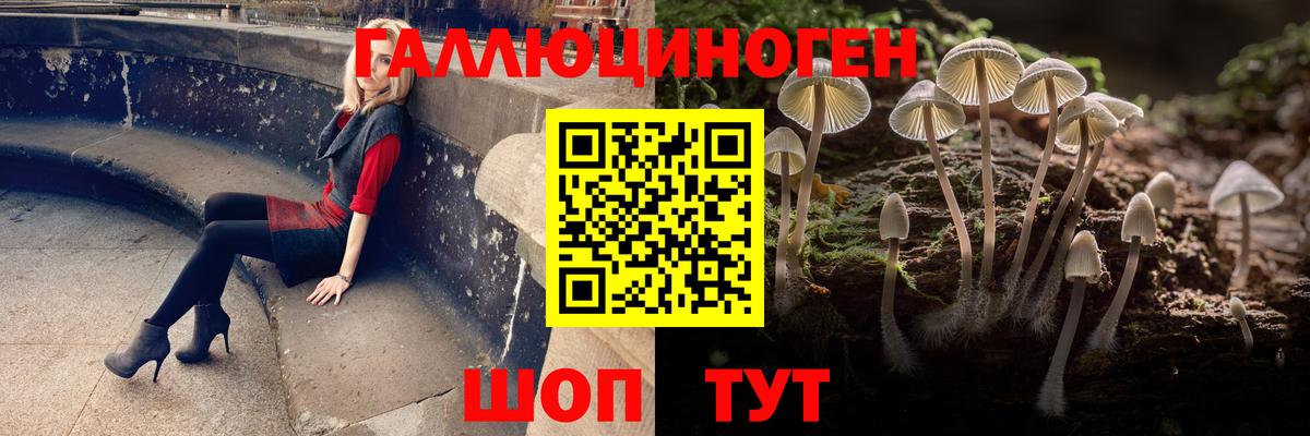 даркнет сайт  Вход с VPN  Сальск  Галлюциногенные грибы Cubensis 